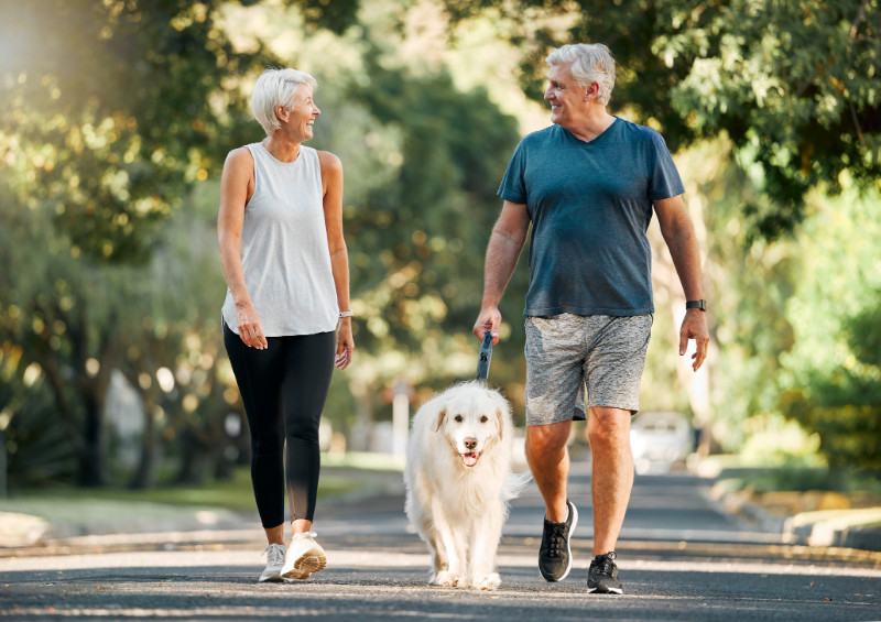 An old couple walking their dog