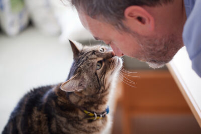 senior man kissing cat